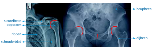 0pyh187aco_1781817757415